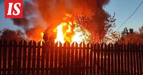 Ukrainan sota: IS seuraa | 1Uutiset - Lukemisen t&auml;hden | Scoop.it