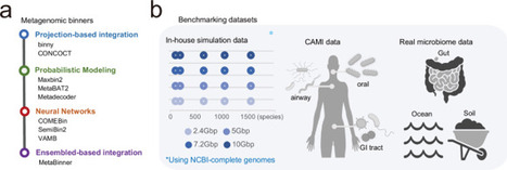 Comprehensive benchmarking of metagenomic binning tools reveals key factors for improved genome recovery | Ncm | RMH | Scoop.it