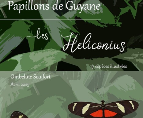 Papillons de Guyane - Les Heliconius | Biodiversité | Scoop.it