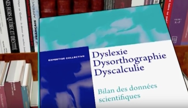 Dyslexie, dysorthographie, dyscalculie : une vidéo explicative avec les dernières données scientifiques (+ ressources) | POURQUOI PAS... EN FRANÇAIS ? | Scoop.it