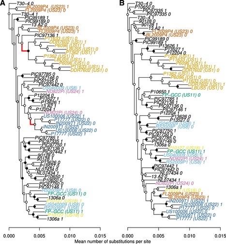 Phytopathology: Genomic Analyses of Dominant U.S. Clonal Lineages of Phytophthora infestans Reveals a Shared Common Ancestry for Clonal Lineages US11 and US18 (2016) | Plant Pathogenomics | Scoop.it