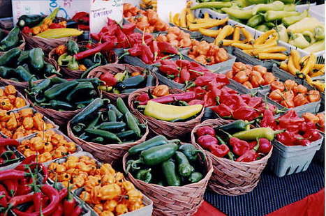 EWG's 2012 Shopper's Guide to Pesticides | Gardening Life | Scoop.it