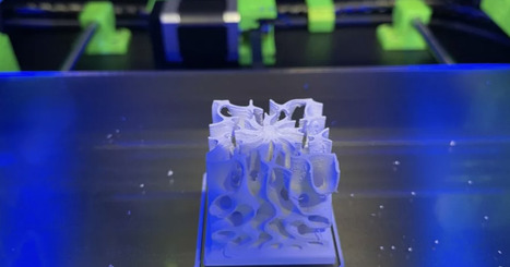 Université Côte d'Azur, l'Observatoire de la Côte d'Azur et le CNRS créent un centre de compétence en impression 3D | IMREDD | Scoop.it