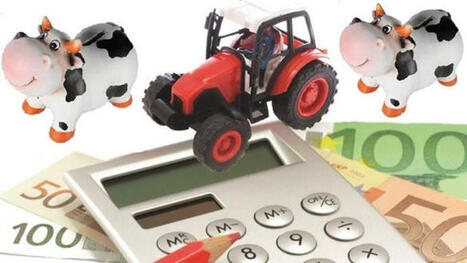 4 points &agrave; ne pas n&eacute;gliger pour financer son installation agricole | Economie de l'Elevage | Scoop.it