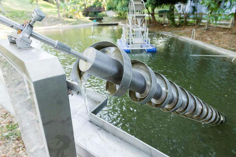 Tornillo de Arquímedes, una forma barata, eficiente y ecológica para elevar agua sin electricidad | tecno4 | Scoop.it