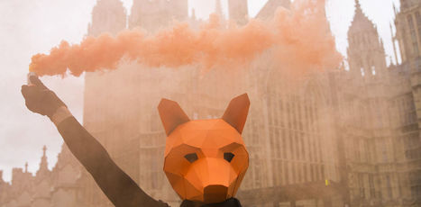 Hard Evidence: this is the Age of Dissent &ndash; and there's much more to come | Peer2Politics | Scoop.it