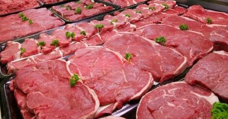 In Italia torna l’appetito per la carne: +5% nel 2018 | Confraternita di Santa Maria della Quercia dei Macellai di Roma | Scoop.it