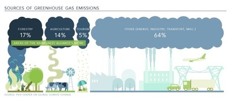 Curbing Climate Change | Rainforest Alliance | RAINFOREST EXPLORER | Scoop.it