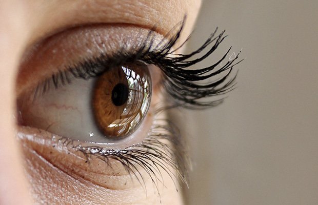 Revitalize Your Lashes With Eyelash Hair Transp