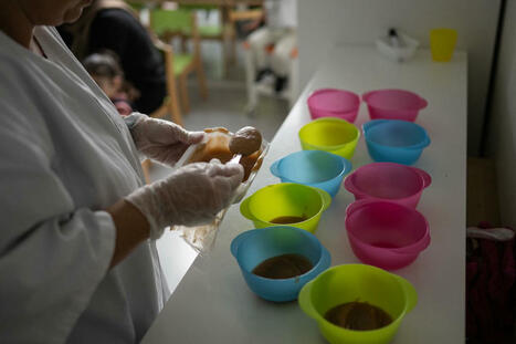 Le gouvernement propose de r&eacute;autoriser le plastique dans les cantines scolaires&nbsp;sous la pression des lobbys | &Eacute;ducation, jeunesse et sports | Scoop.it