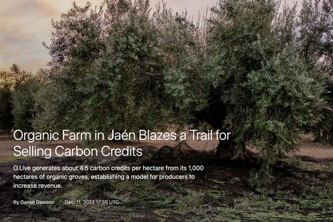 SPAIN : Organic Farm in Jaén Blazes a Trail for Selling Carbon Credits | CIHEAM Press Review | Scoop.it