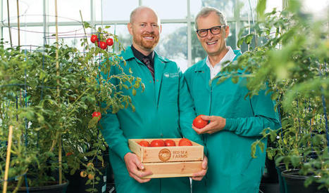 Saudi startup Red Sea Farms secures $10 million investment for sustainable agriculture | CIHEAM Press Review | Scoop.it