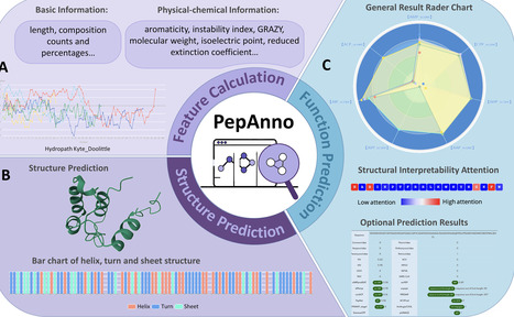PepAnno: A structure-aware deep learning framework for bioactive peptide prediction, structural visualization, and physicochemical profiling | PLOS | RMH | Scoop.it