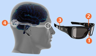 Monash Vision Bionic Eye Helps Blinds To See | Amazing Science | Scoop.it