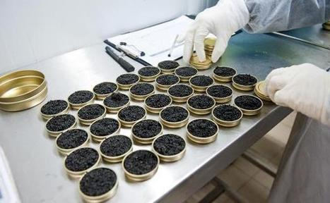 Comment devenir aquaculteur