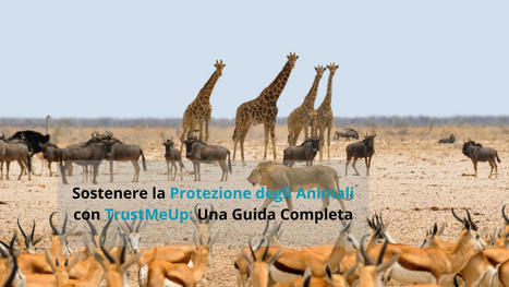 Protezione Degli Animali | TrustMeUp | Scoop.it