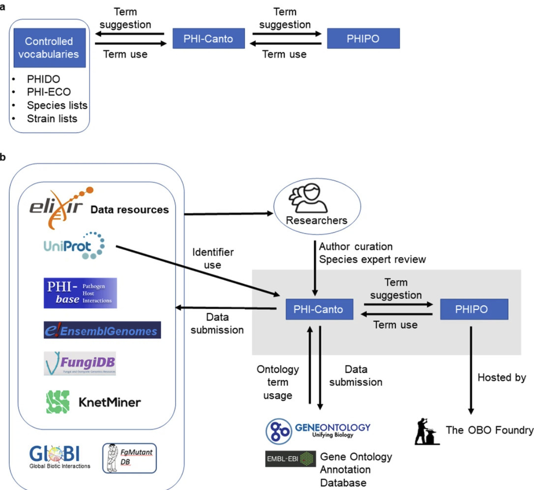 A framework for community curation of interspec...