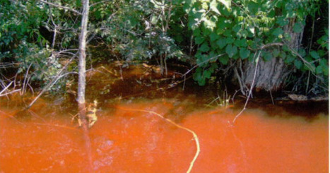 Louisiana orders fixes to leaking 'red mud' ponds at Atalco | Business | theadvocate.com | Industry 411 - Waste Management | Scoop.it
