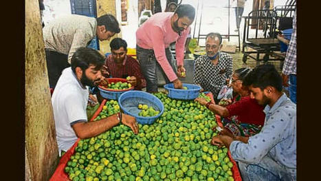Most Indians expect Budget to tackle inflation: Survey | Mint | Development Economics | Scoop.it