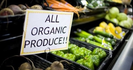 INCREDIBLE: Denmark Will Be The First Country On The Planet That Will Become 100% Organic! | Ces infos qui nous font du bien | Scoop.it