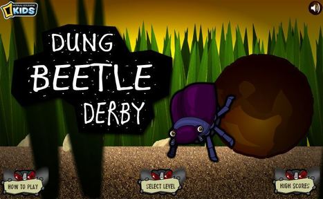 Dung Beetle Derby - National Geographic Kids | Variétés entomologiques | Scoop.it