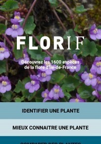 FLORIF aide à la détermination des plantes franciliennes - ARB îdF | Biodiversité | Scoop.it