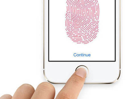 Biometric Authentication Overview, Advantages & Disadvantages | Iris Scans and Biometrics | Scoop.it