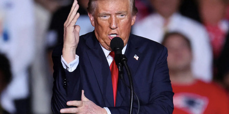 'Impeached': Elon Musk calls for Trump to be charged with misconduct - Raw Story | Backstabber Watch | Scoop.it