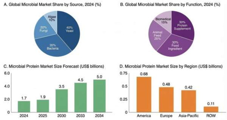 Navigating adoption barriers for microbial proteins in future food | Ncm | RMH | Scoop.it