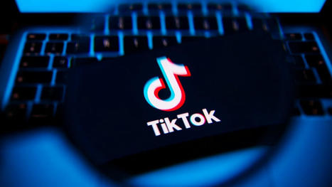 TikTok-Raser in Luzern vor Gericht – ihm droht Gefängnis | Facebook, Chat & Co - Jugendmedienschutz | Scoop.it