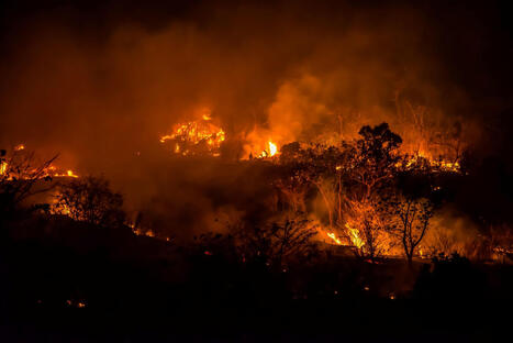 Forecasters warn up to 8 million acres could burn in 2026 as drought grips most of the US - The Cool Down | Operation Deimos | Scoop.it