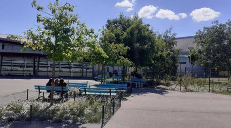 D&eacute;simperm&eacute;abilisation et v&eacute;g&eacute;talisation des cours des coll&egrave;ges | EnvirEAU | Scoop.it