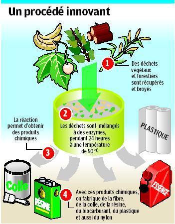 La PME qui transforme la paille en essence | Planète DDurable | Scoop.it