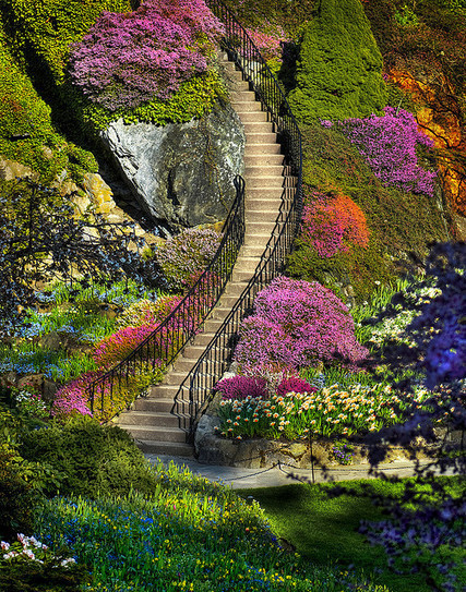 Stairway to heaven ? | 1001 Gardens | 1001 Gardens ideas ! | Scoop.it