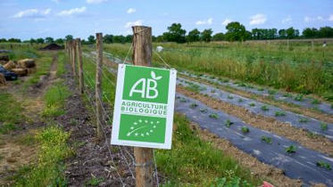 Biodiversité : des aides publiques aux effets néfastes ? | Environnement - Développement durable - Climat | Scoop.it