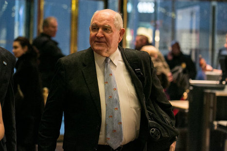 US: Sonny Perdue Is Trump’s Choice for Agriculture Secretary | L'ECHO DEMETER | Scoop.it