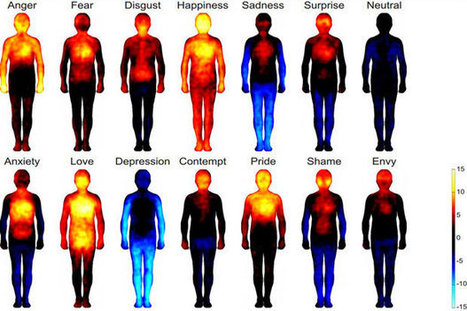 Study Finds Emotions Can Be Mapped to the Body | Digital #MediaArt(s) Numérique(s) | Scoop.it