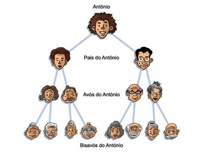 GeneticJogos | A BRINCAR TAMB&Eacute;M SE APRENDE | Scoop.it