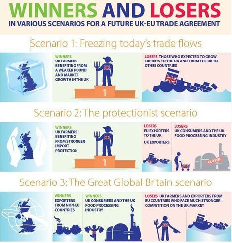 Rabobank : Trois scénarios évaluent l’impact du Brexit | Lait de Normandie... et d'ailleurs | Scoop.it