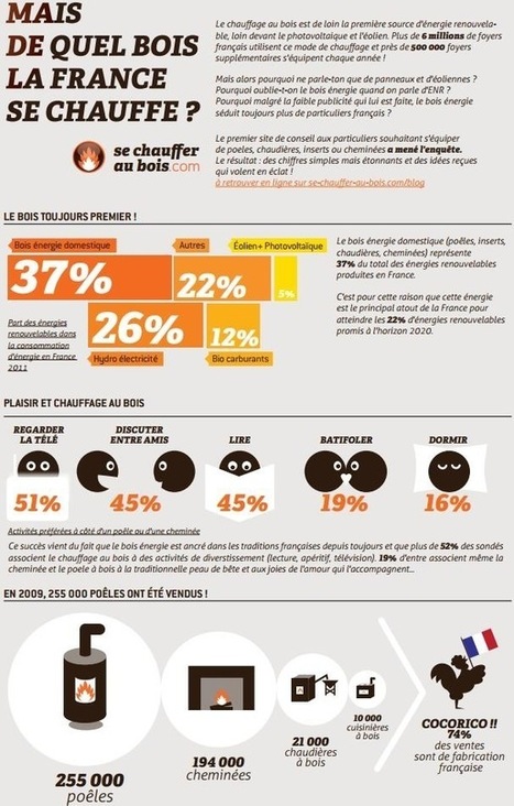 [infographie] Le chauffage au bois en France | Build Green, pour un habitat écologique | Scoop.it