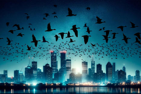 1,000 Birds Perish in Chicago Collision Catastrophe: Light Pollution’s Deadly Impact on Migrating Birds - SciTechDaily.com | Operation Deimos | Scoop.it