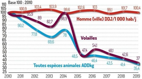 Non, la viande et le lait produits en France ne contiennent pas d’antibiotiques ! | Lait de Normandie... et d'ailleurs | Scoop.it