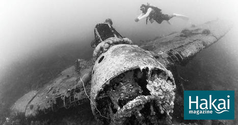 One Great Shot: Swimming with Seaplanes | Soggy Science | Scoop.it