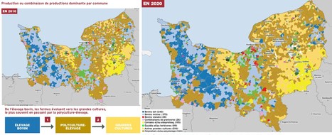 Les transformations de la Ferme normande de 2010 à 2020 | Lait de Normandie... et d'ailleurs | Scoop.it