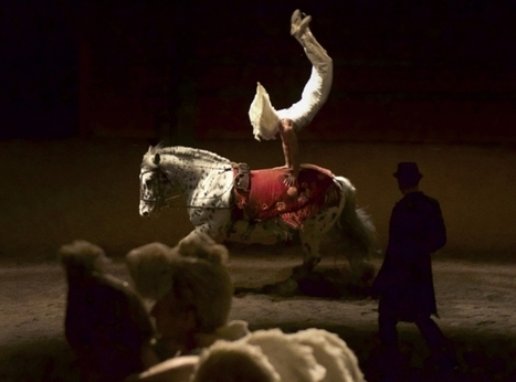 Les élégies de Bartabas / France Inter | Salon du Cheval | Scoop.it