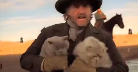 Cowboy herding cats commercial may just be the best we've seen | IELTS, ESP, EAP and CALL | Scoop.it