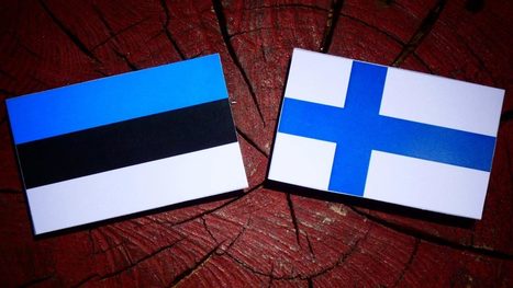 Arvaatko, mitä nämä vironkieliset sanat tarkoittavat? Tee testi! | 1Uutiset - Lukemisen tähden | Scoop.it