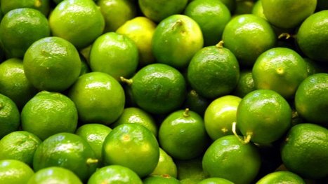 La fili&egrave;re de production d'agrumes est en danger en Guadeloupe | EntomoNews | Scoop.it