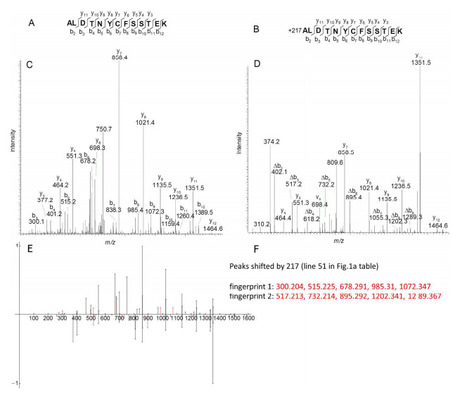 Journal of Proteome Research: Identification of related peptides through the analysis of fragment ion mass shifts (2014) | Publications from The Sainsbury Laboratory | Scoop.it