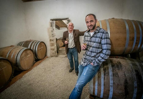 Bons plans : notre sélection de cognacs de petits producteurs | Le Cognac et son vignoble | Scoop.it